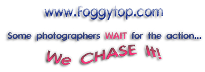 www.foggytop.com